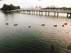 画像(240x180)・拡大画像(640x480)