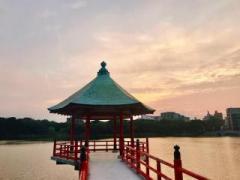 画像(240x180)・拡大画像(640x480)