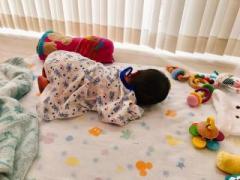 画像(240x180)・拡大画像(640x480)