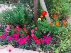 �摜(240x180)�E�g��摜(640x480)