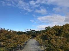 �摜(240x180)�E�g��摜(640x480)