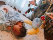 �摜(180x135)�E�g��摜(640x480)