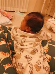 �摜(180x240)�E�g��摜(480x640)