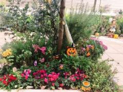 画像(240x180)・拡大画像(640x480)