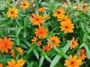 画像(180x135)・拡大画像(640x480)