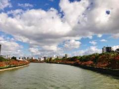 �摜(240x180)�E�g��摜(640x480)