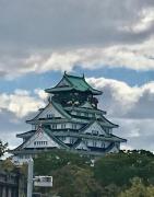 �摜(141x180)�E�g��摜(504x640)