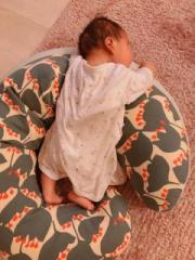 �摜(180x240)�E�g��摜(480x640)