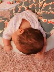 �摜(180x240)�E�g��摜(480x640)