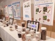 画像(180x135)・拡大画像(640x480)