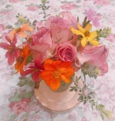 画像(228x240)・拡大画像(610x640)