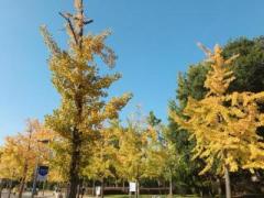 �摜(240x180)�E�g��摜(640x480)