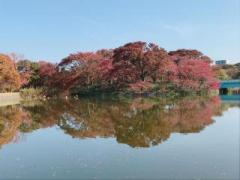 �摜(240x180)�E�g��摜(640x480)