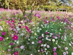 �摜(240x180)�E�g��摜(640x480)