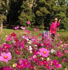 �摜(233x240)�E�g��摜(623x640)