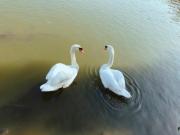 �摜(180x135)�E�g��摜(640x480)