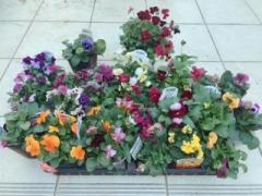 画像(240x180)・拡大画像(640x480)