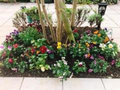 画像(240x180)・拡大画像(640x480)