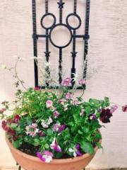 画像(180x240)・拡大画像(480x640)