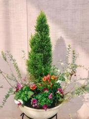 画像(180x240)・拡大画像(480x640)