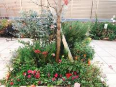 画像(240x180)・拡大画像(640x480)