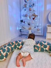 画像(180x240)・拡大画像(480x640)