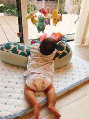 画像(180x240)・拡大画像(480x640)