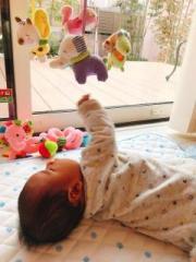 画像(180x240)・拡大画像(480x640)