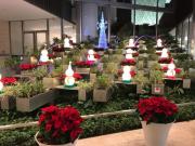 �摜(180x135)�E�g��摜(640x480)