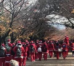 画像(240x216)・拡大画像(640x576)