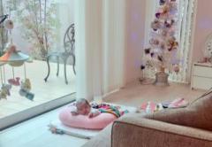 画像(240x166)・拡大画像(640x445)