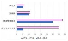 画像(240x144)・拡大画像(640x384)
