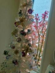 画像(180x240)・拡大画像(480x640)