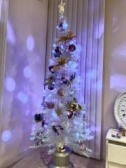 画像(180x240)・拡大画像(480x640)