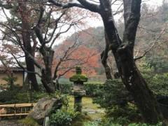 画像(240x180)・拡大画像(640x480)