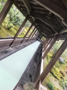 画像(135x180)・拡大画像(480x640)