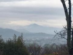 画像(240x180)・拡大画像(640x480)