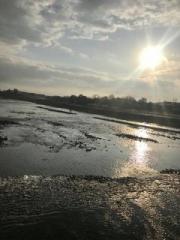 画像(180x240)・拡大画像(480x640)