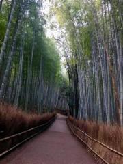 画像(180x240)・拡大画像(480x640)