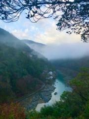 画像(180x240)・拡大画像(480x640)