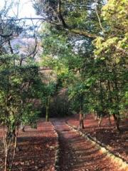 画像(180x240)・拡大画像(480x640)