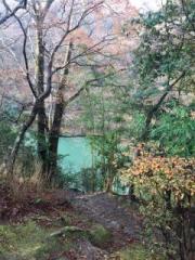 画像(180x240)・拡大画像(480x640)