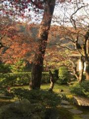 画像(180x240)・拡大画像(480x640)