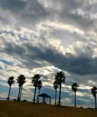 �摜(199x240)�E�g��摜(532x640)