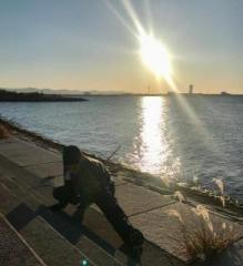 �摜(219x240)�E�g��摜(585x640)