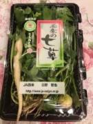 �摜(135x180)�E�g��摜(480x640)