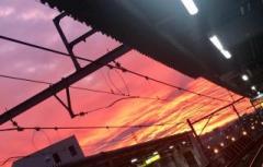 �摜(240x153)�E�g��摜(640x410)