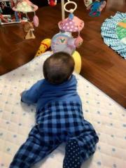 �摜(180x240)�E�g��摜(480x640)