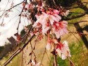 �摜(180x135)�E�g��摜(640x480)