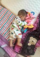 �摜(171x240)�E�g��摜(457x640)